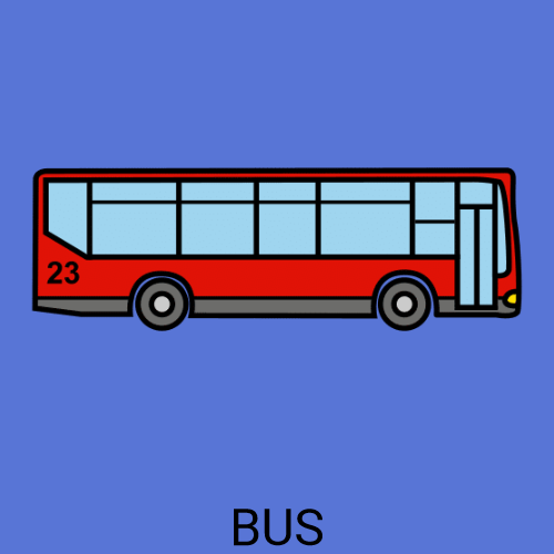 Bus