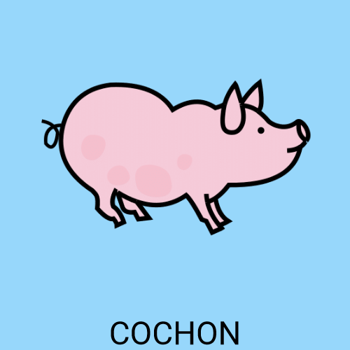 Cochon