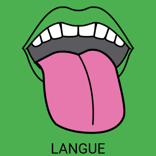 Langue