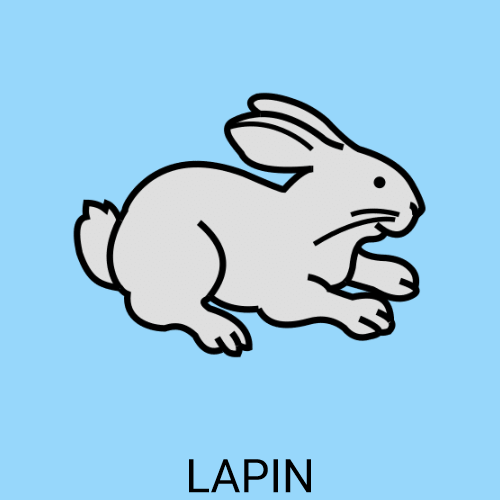 Lapin