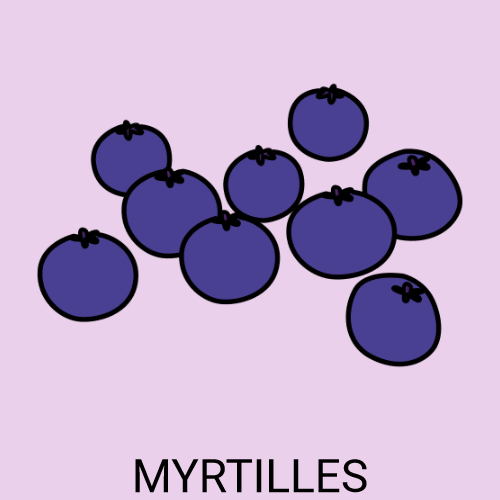 Myrtille