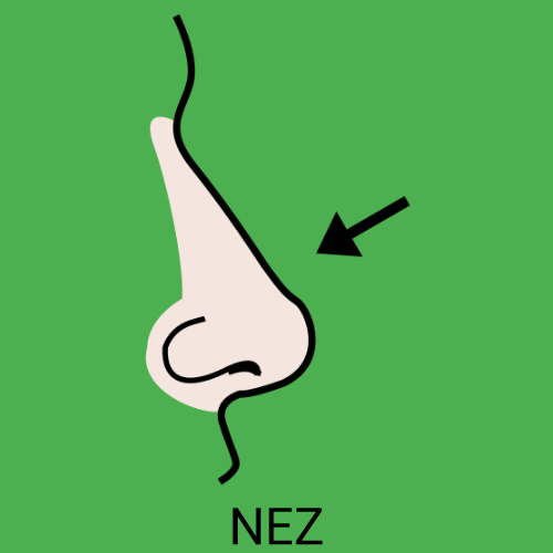 Nez