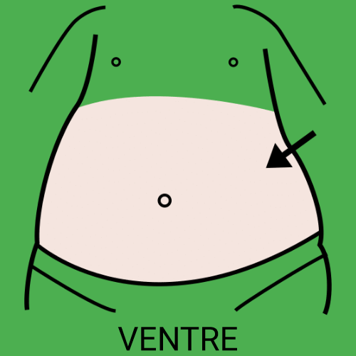 Ventre