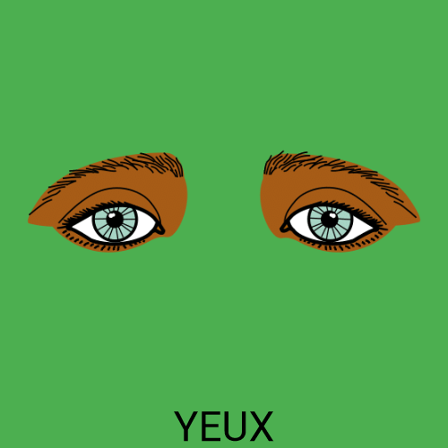 Yeux